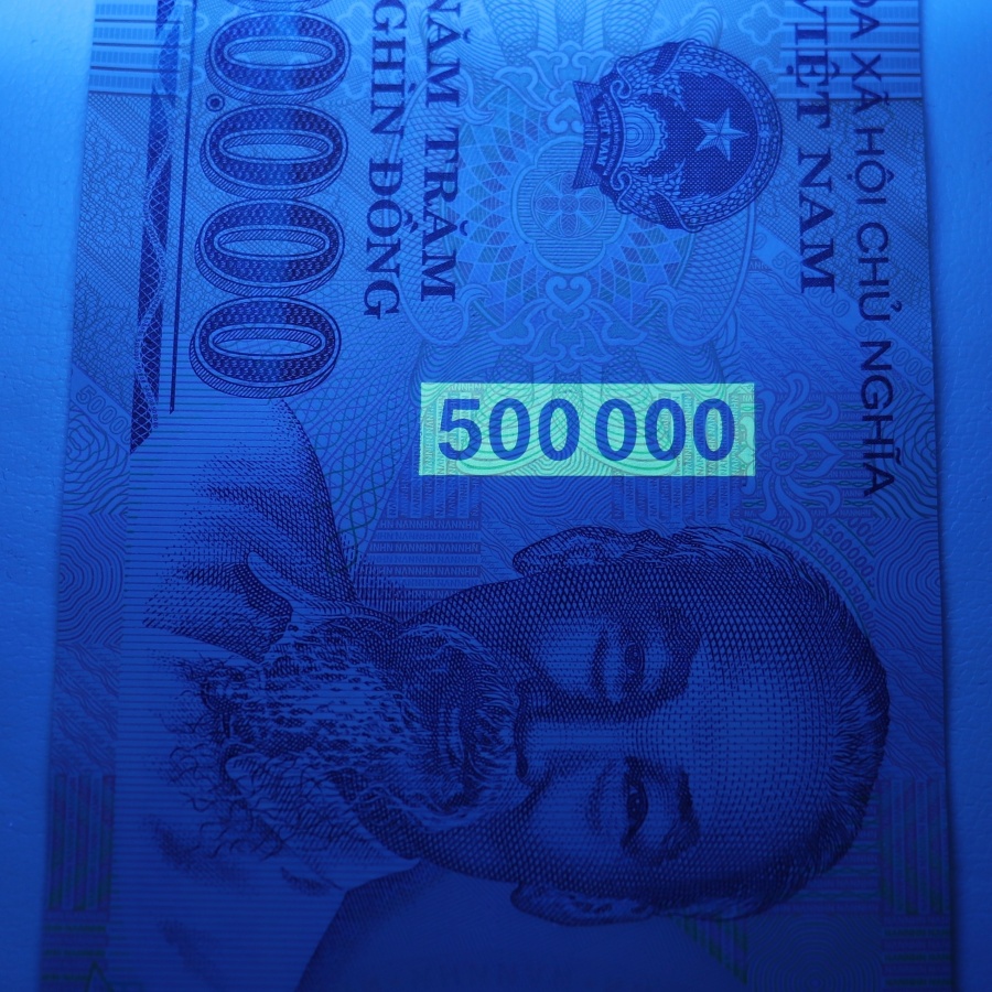 最大83％オフ！ ベトナム ドン 紙幣 500,000ドン 1枚 保証書付き 高額紙幣 VND 外国為替市場 コレクション 外貨 Vietnam 