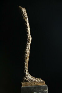 yz^uY@@WRbe50cm@@CeAƋ@u@@@@pitBMA蕨 v[g