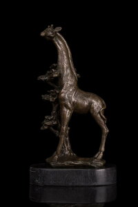 uY@L@28.5cmi@CeAƋ@u@@@@pitBMA蕨 v[g