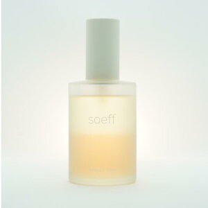 yK戵zsoeff \t ICCZ pure LNZC 100ml eꔄ Tꔄi wAIC 􂢗Ȃg[gg P _[WPA ێ c et v