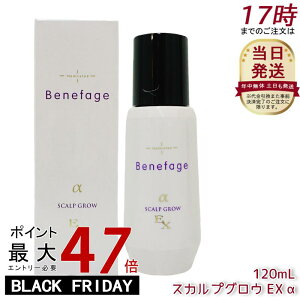 AfX 򕔊Oi xlt@[W p XJvOE EX  { э 120mL p XJvwA[V XJvPA