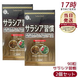【2個セット】伊段 サラシア習慣 90粒 健康補助食品 ギムネマ バナバ サラシアエキス 食物繊維 難消化性デキストリン 糖質サポート ダイエットケア 日本製 サプリメント 30日分 送料無料