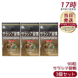 【3個セット】伊段 サラシア習慣 90粒 健康補助食品 ギムネマ バナバ サラシアエキス 食物繊維 難消化性デキストリン 糖質サポート ダイエットケア 日本製 サプリメント 30日分 送料無料