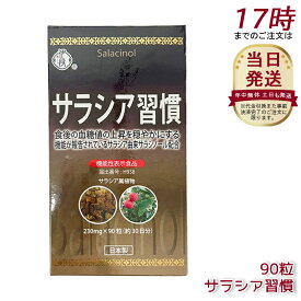 伊段 サラシア習慣 90粒 健康補助食品 ギムネマ バナバ サラシアエキス 食物繊維 難消化性デキストリン 糖質サポート ダイエットケア 日本製 サプリメント 30日分 送料無料