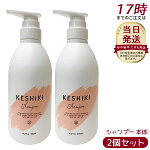 �y2�Z�b�g�z�P�V�L �V�����v�[ 480 ml �P�V�L�V�����v�[ �q�[�g�_���[�W ��C �ێ� �A���h�i�C�� �����Ƃ� ���炳�� ������ �A�~�m�_ �T���� �A�~�m�_�n �؂�� ������ �܂Ƃ܂� ����c���� 