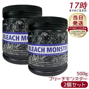 [2�Z�b�g] Kyogoku �u���[�`�����X�^�[ 500g �P�A�u���[�` �����T�L�u���[�` �E�F �������� �w�A�J���[ �� �n�C�u���[�` �z���C�g�u���[�` �� �u���[�`�� �_���[�W�y�� �ێ� �Z���� ���e���ꔄ
