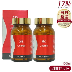 y2Zbgzi B8 Charge `[W 120 MONNALI Ȃ i Tvg Ki  e N