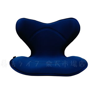 【全3色】スタイル スマート Style SMART MTG 姿勢矯正 骨盤サポートチェア 座椅子 骨盤 姿勢 補正 背骨 椅子 クッション テレワーク 在宅 在宅勤務 リモートワーク