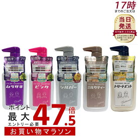 【5種類から選べる】plus eau プリュスオー カラーシャンプー ヘアトリートメント 280mL ムラサキ / ピンク / シルバー / ミルクティー リートメント for Color ヘアカラー カラーリング ヘアスタイリング ダメージ 補修 トリートメント for color カラーキープ