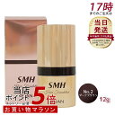 ルアン SMH ヘアファンデーション 12g No.2ダークブラウン 髪 頭 白髪隠し 分け目カバー ヘアファンデーション ヘアパウダー 白髪隠し 白髪カバー パウダー 女性 薄毛女性 男女兼用 薄毛対策 白髪対策 ランキング おすすめ ヘアファンデーション 簡単 男性 女性