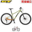 GT ジーティー 2025年モデル AVALANCHE ELITE アバランチェ エリート 29インチ マウンテンバイク (期間限定送料無料/…