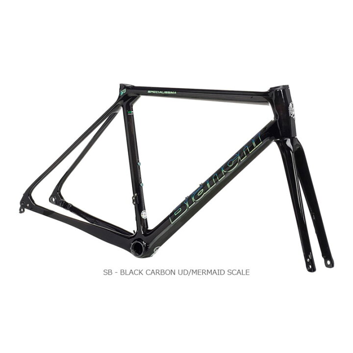 楽天市場】BIANCHI ビアンキ 2023年モデル SPECIALISSIMA FRAME KIT 