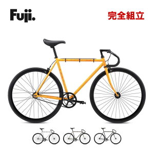 FUJI tW 2025Nf FEATHER tFU[ VOXs[h