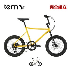 TERN ^[ 2025Nf AMP F1 AvF1 20C`(406) 1x8s a ~jx