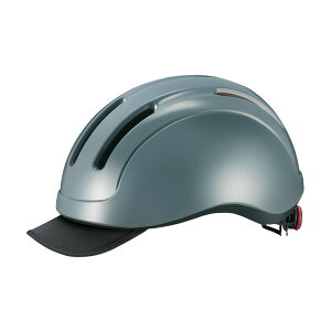 OGK KABUTO I[W[P[Jug KOOFU CS-1 wbg O[