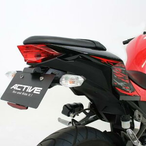 Ninja250i2013N`j tF_[XLbg ubN LEDio[t ACTIVEiANeBuj