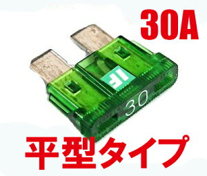 ICE FUSE�i�A�C�X�q���[�Y�j ���^ 30A IF-ATO30A ADIO�i�A�f�B�I�j