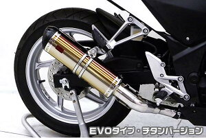 TTR^Cv}t[XbvI EVO^Cv `^o[W ASAKURAiqj CBR250RiJBK-MC41j11`13N