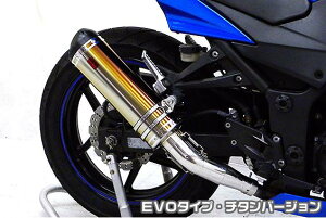 Ninja250RijWj TTR^Cv}t[XbvI EVO^Cv `^o[W ASAKURAiqj