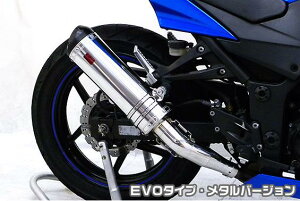 Ninja250RijWj TTR^Cv}t[XbvI EVO^Cv ^o[W ASAKURAiqj