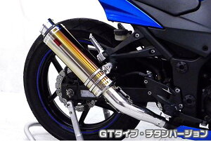 Ninja250RijWj TTR^Cv}t[XbvI GT^Cv `^o[W ASAKURAiqj