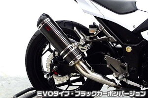 Ninja250ijWjJBK-EX250L TTR^Cv}t[ EVO^Cv ubNJ[{o[WiXbvIj ASAKURAiqj