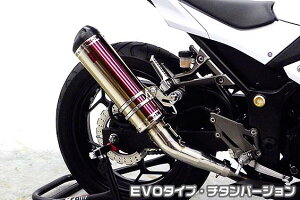 Ninja250ijWjJBK-EX250L TTR^Cv}t[ EVO^Cv `^o[WiXbvIj ASAKURAiqj