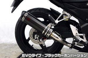CB250Fi14`j TTR^CvXbvI}t[ EVO^Cv ubNJ[{o[W ASAKURAiqj