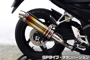 CB250Fi14`j TTR^CvXbvI}t[ GP^Cv `^o[W ASAKURAiqj