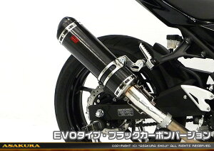 Ninja400ijW400j2BL-EX400G TTR^Cv}t[ XbvI EVO^Cv ubNJ[{o[W ASAKURAiqj