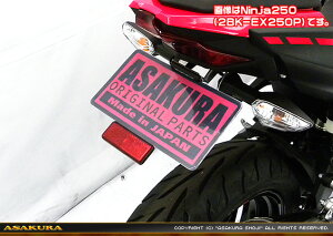 Ninja400ijW400j2BL-EX400G ^tF_[XLbg ASAKURAiqj