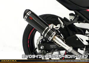 Ninja250ijW250j2BK-EX250P TTR^Cv}t[ XbvI EVO^Cv ubNJ[{o[W ASAKURAiqj