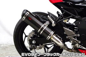 Ninja250SLijW250SLjJBK-BX250A TTR^CvXbvI}t[ EVO^Cv ubNJ[{o[W ASAKURAiqj