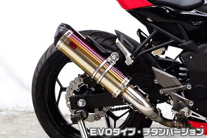 Ninja250SLijW250SLjJBK-BX250A TTR^CvXbvI}t[ EVO^Cv `^o[W ASAKURAiqj