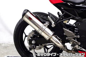 Ninja250SLijW250SLjJBK-BX250A TTR^CvXbvI}t[ EVO^Cv ^o[W ASAKURAiqj