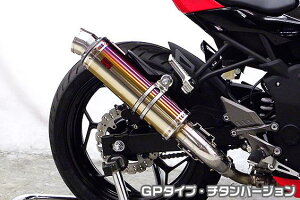 Ninja250SLijW250SLjJBK-BX250A TTR^CvXbvI}t[ GP^Cv `^o[W ASAKURAiqj