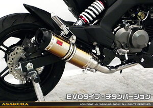 Z125 PROivjBR125H DDR^Cv}t[ EVO^Cv `^o[W tGL][Xg ASAKURAiqj