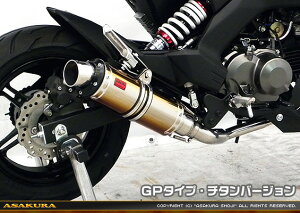 Z125 PROivjBR125H DDR^Cv}t[ GP^Cv `^o[W tGL][Xg ASAKURAiqj