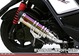 r[EBYiBWS125jLPRSE45 DDR^Cv}t[ EVO^Cv `^o[W ASAKURAiqj