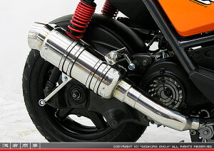 r[EBYiBWS125jLPRSE45 SH^Cv}t[ [VO^Cv XeX ASAKURAiqj