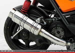 r[EBYiBWS125jLPRSE45 SH^Cv}t[ BS^Cv XeX ASAKURAiqj