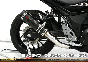 GSX250Ri2BK-DN11Aj TTR^Cv}t[ EVO^Cv ubNJ[{o[W ASAKURAiqj