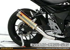 GSX250Ri2BK-DN11Aj TTR^Cv}t[ EVO^Cv `^o[W ASAKURAiqj