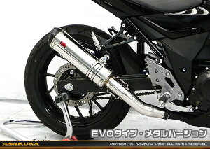 GSX250Ri2BK-DN11Aj TTR^Cv}t[ EVO^Cv ^o[W ASAKURAiqj