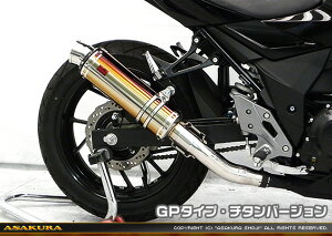GSX250Ri2BK-DN11Aj TTR^Cv}t[ GP^Cv `^o[W ASAKURAiqj
