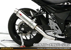 GSX250Ri2BK-DN11Aj TTR^Cv}t[ GP^Cv ^o[W ASAKURAiqj