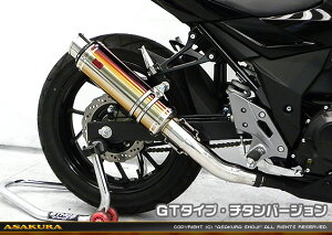 GSX250Ri2BK-DN11Aj TTR^Cv}t[ GT^Cv `^o[W ASAKURAiqj
