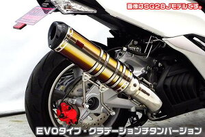 }WFXeBSi2BK-SG52Jj TTR^Cv}t[ EVO^Cv Of[V`^o[W ASAKURAiqj