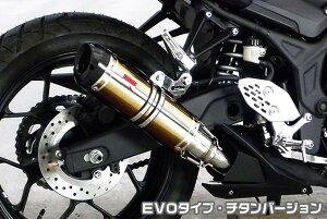 MT-25i2BK-RG43Jj TTR^Cv}t[ EVO^Cv `^o[Wiq[gK[h-ubNdj ASAKURAiqj