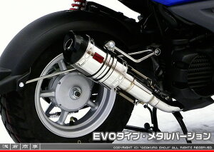 r[EBYiBWS50jSA53J ZZR^Cv}t[ EVO^Cv ^o[W ASAKURAiqj